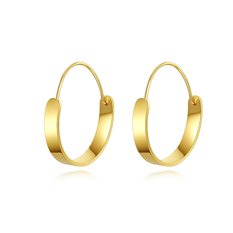 Gold Hoop Earrings for Women - Stainless Steel Trendy Jewelry